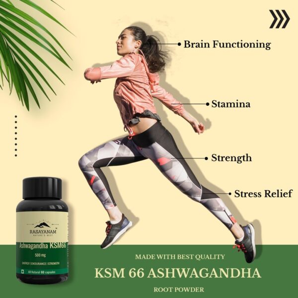 benefits uses of ashwagandha ksm 66