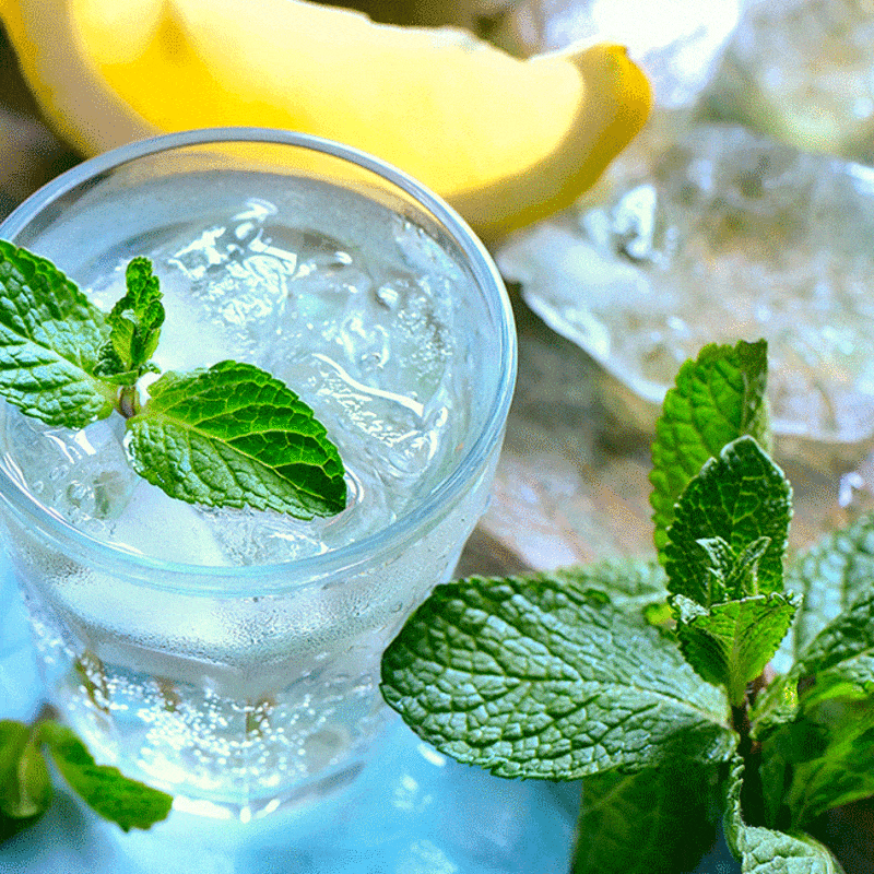 a glass of fresh drink from coconut water plus mint and ice slices are usually added pieces of mint leaf