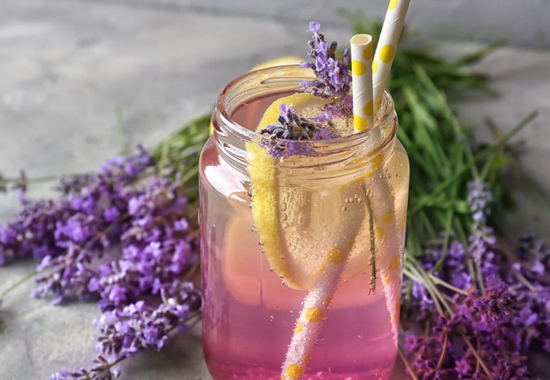 Lavender lemonade with ice and lemon in the drinking Jug 