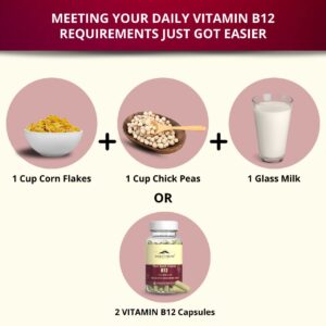 Plant Based Vitamin B-12 (Cobalamin) | Supports Nervous & Brain System