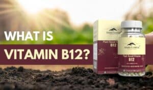 b12, vitamin b12, vitamin b12 capsules benefits, vitamin b12 tablets, b 12 supplements, vitamin b12 fruits,