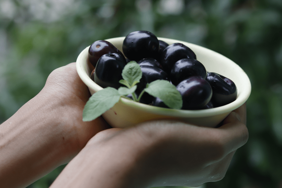 Indian Blackberry, fruits for diabetes, best fruits for diabetics