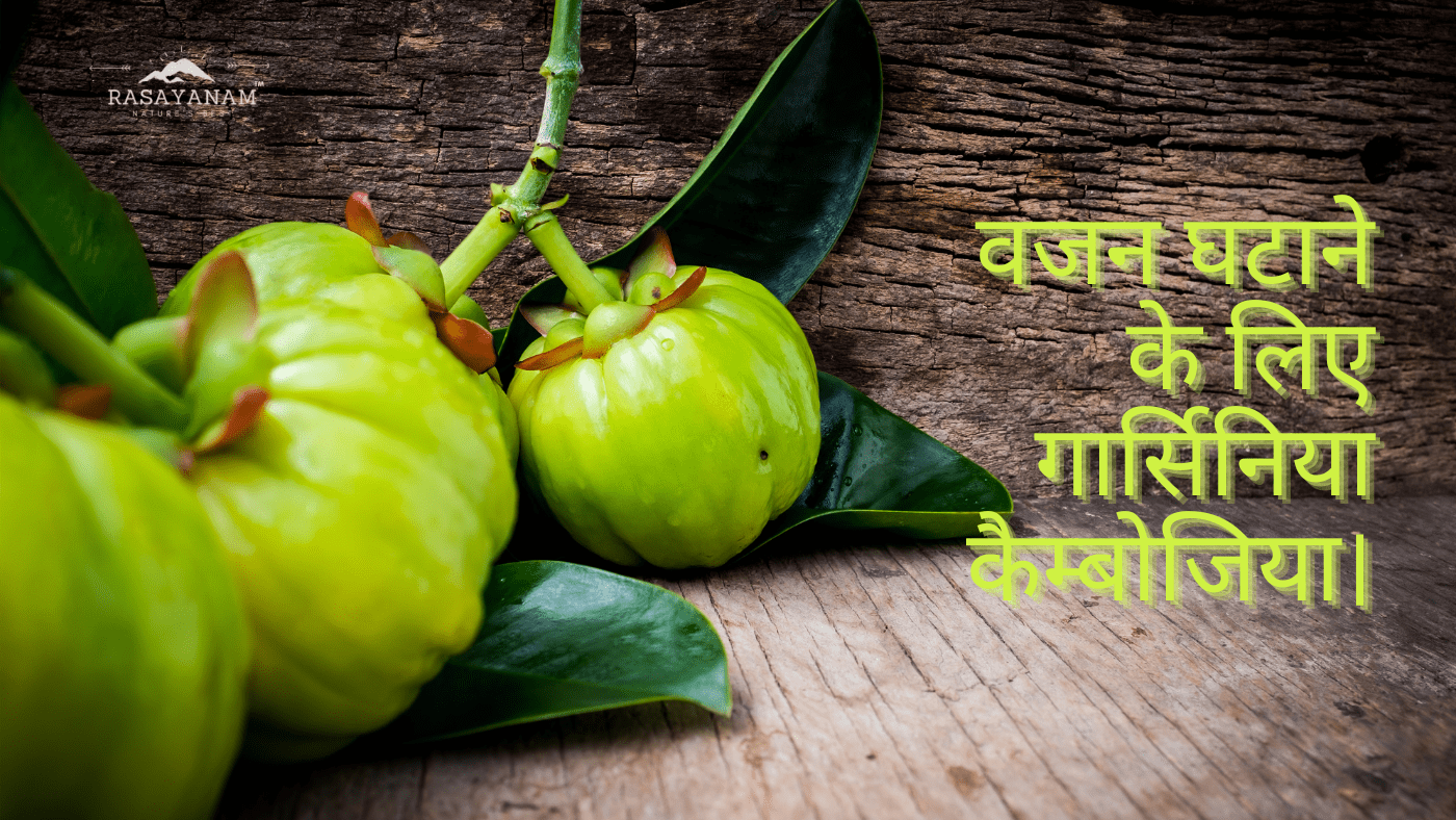 वजन घटाने के लिए गार्सिनिया कैम्बोजिया, गार्सिनिया कैंबोगिया, Garcinia cambogia, रसायनम गार्सिनिया कैम्बोजिया, Rasayanam Garcinia Cambogia