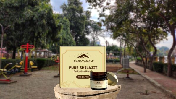 Shilajit in summer, गर्मियों में शिलाजीत, रसायनम शिलाजीत